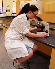 Image for Food & beverage processing